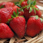 strawberry-1180048_1920