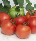Tomate_hybrid__P_5256bd7d3e57f