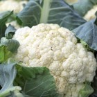 cauliflower2