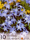 Chionodoxa_4b2be064be593