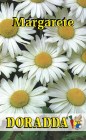 Chrysanthemum_le_4b2f5a8dce1d0