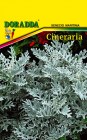 Cineraria_Silver_5af6a9d4e09c5