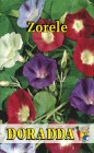 Convolvulus_tric_4b3ba68aa74c3