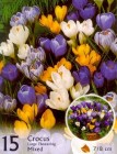 Crocusvernusmix_4b2bdfb20475a