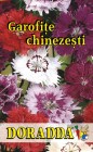 Dianthus_chinens_4b2f5767846f3