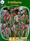 Fritillaria_uva__57e28edb31d0f