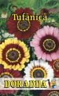 Gaillardia_arist_4b30ecf203bd3