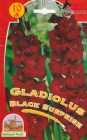Gladiolus_BLACK__5332d89632ac0