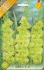 Gladiolus_GREEN__5332d6d04cb47