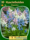 Hyacinthoidesmix_4b2be089830b0