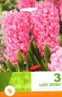Hyacinthus__RED__57ee4a747e83f
