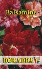 Impatiens_balsam_4b3105ac340f3