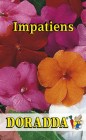 Impatiens_waller_4b6424aaa3718