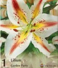 Lilium_Garden_Pa_4fa51f57b01bd