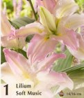 Lilium__Soft_Mus_4fa51ffb0e714