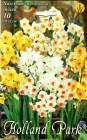 Narcissus_Multif_57ee452f46cf4