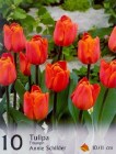 TAnnieSchilder_4b2bde06a601d