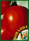 TOMATE_RIO_GRAND_4b2ba5b6af871