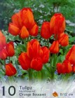 TOrangeBouquet_4b2bde6ab8826