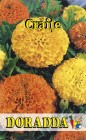 Tagetes_erecta_4b30e589e855b