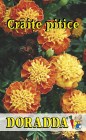 Tagetes_patula_4b30e5774c771