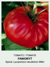 Tomate_FAWORYT_4c4593261f893