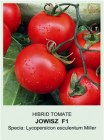 Tomate_JOWISZ____4b5cb8e14f944