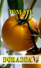 Tomate_galbene_G_4c02d05298a28