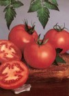 Tomate_hybrid_BE_4ee09f71932ab