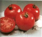Tomate_hybrid_CR_4edf6beb8c63c