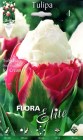 Tulipa_Double_La_505330f665b1c