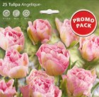 Tulipa_Double_La_506da3ae6fac2