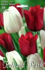 Tulipa_Duo___RED_57ee43a3e0174