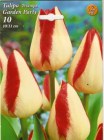 Tulipa_GARDEN_PA_4e71f60d1f23e