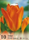 Tulipa_ORANGE_EM_4e71f97f8a1ee