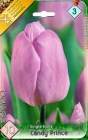 Tulipa_Single_Ea_57f64a762ac74