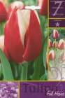 Tulipa_Triumph___506f2a96b8bd5