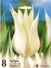 Tulipa__SAPPORO__4e92e5cac43bc