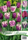 Tulipa_mixed__GA_59c8e9e80274e