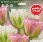 Tulipa_viridiflo_506da3d8767e0