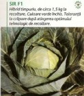Varza_hybrid_SIR_4ecd0195519c6