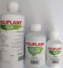 foliplant4